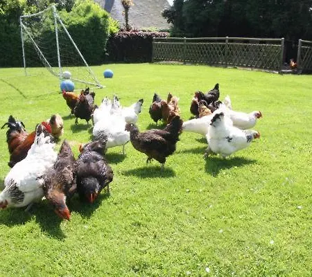 L'ecurie D'hubert 度假居 *